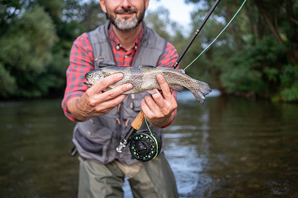 istock Man displaying a caught trout while fly fishing in a scenic natural river 2226121240