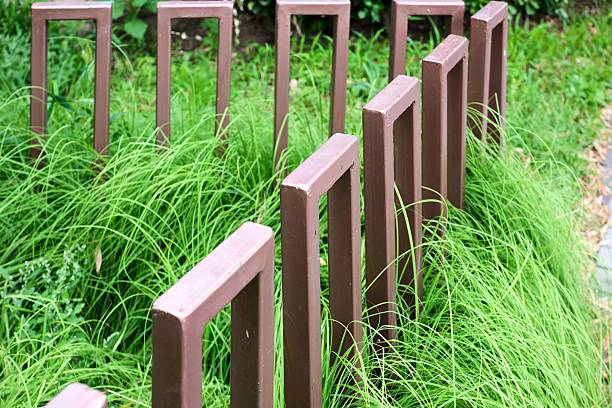 A row of brown metal posts with green grass growing between them. The grass is tall and the posts are spaced evenly apart. Concept of order and structure