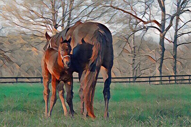 Colt with Mother- Lexington, Kentucky