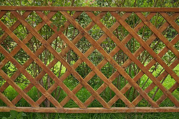 A wooden fence with a lattice pattern. The fence is surrounded by trees and grass. The fence is brown and has a rustic feel