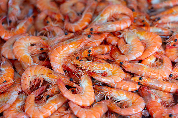 istock Close-up boiled cooked shrimps on a plate 2226141722