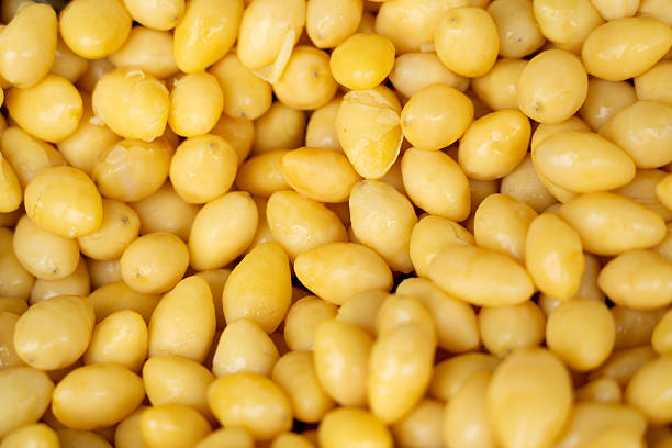 Close-up of soybean