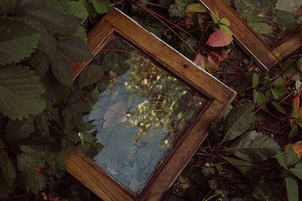 istock Reflections in Nature Discovering Abandoned Frames Amidst Lush Greenery and Beauty 2226142497