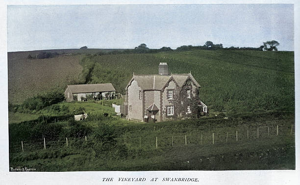 istock History of British wine making, Swanbridge vineyard, Soth Wales, 1890s, 19th Century 2226144592