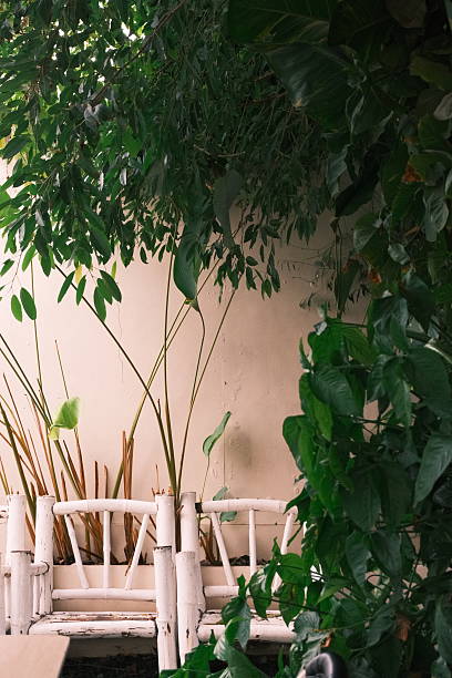 istock Cozy Garden Nook with White Bamboo Bench 2226146342