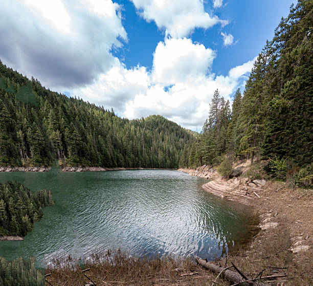 istock Dworshak reservoir and green forest and clouds 2226157356