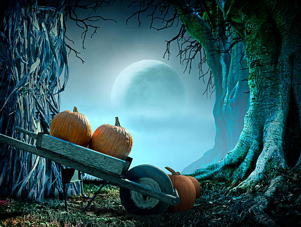 A wheel barrow full of pumkins rests in a field in fronts of the twisted trees of a spooky forest.