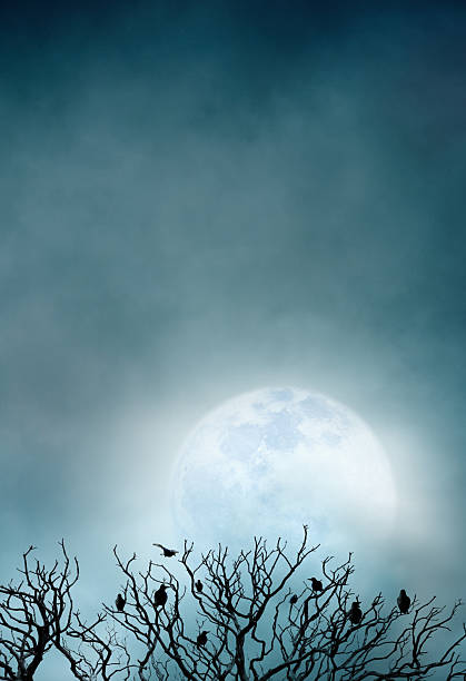 istock Bare Trees And Birds Silhouetted Against Spooky Moon 2226159132