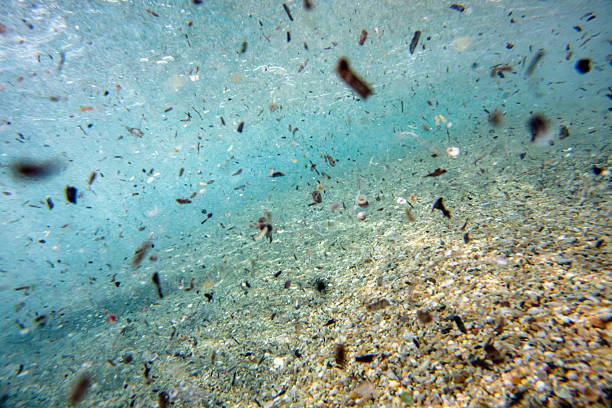 underwater sea bubbles background with sea bottom