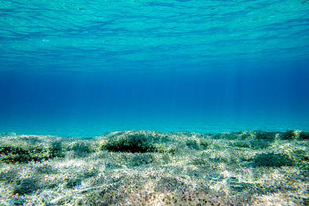 istock Underwater scenery of sand and endless water beyond the surface 2226161468