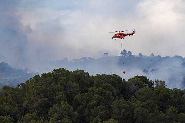 Cargo helicopter or firefighters soaring through the sky