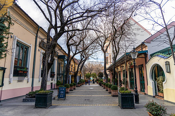 Belgrade, Serbia - March 13, 2025: A charming pedestrian street lined with colorful buildings, cozy shops, and bare-branched trees.
