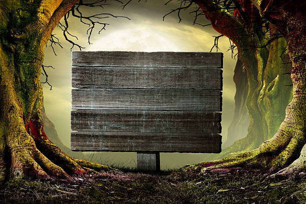 istock Old Weathered Sign In A Spooky Forest 2226165897