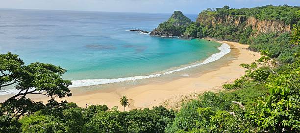 istock Fernando de Noronha Beach Brazil 2226169505