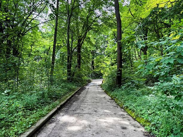 Doctors Park in Fox Point, Wisconsin