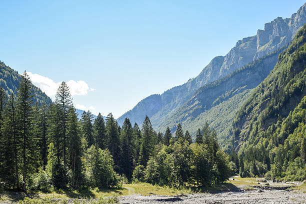 istock Beautiful view of mountain range through trees in a forest 2226172373