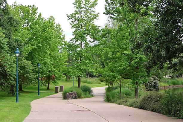 istock Scenic walking path surrounded by lush greenery invites visitors to enjoy nature's beauty 2226173687