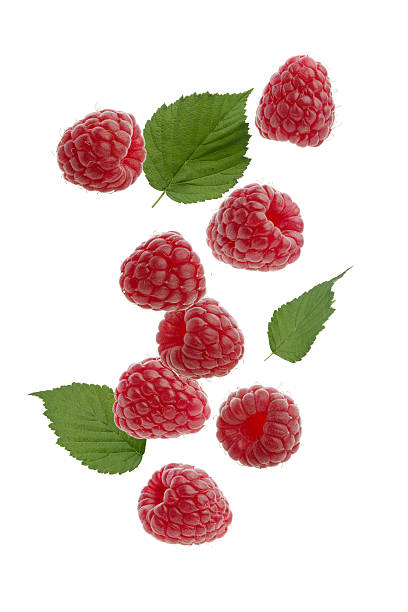 istock Raspberry with green leaves on white isolated background 2226178129