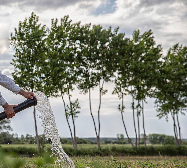 istock Due to climate change, drought has increased, affecting field irrigation, water pipes, and trees. 2226178487