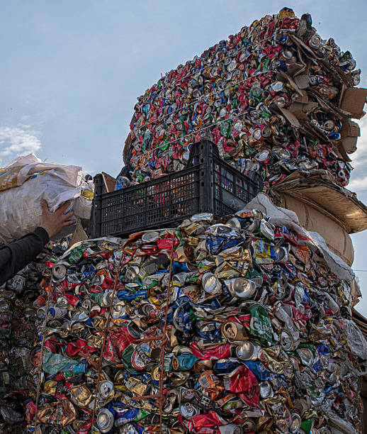 istock The waste that is collected for recycling is separated by type. 2226178510