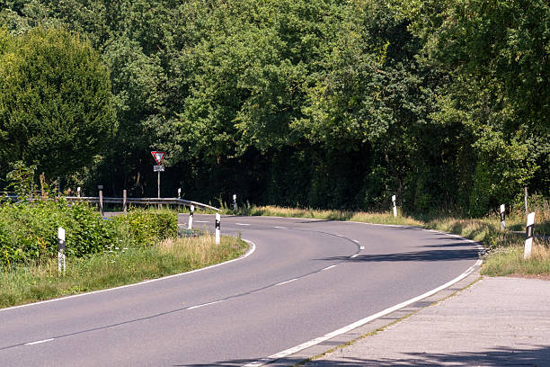 istock Winding road leading into lush green forest in summer 2226179715