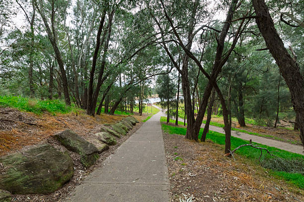 istock A public walkway through the trees in Yarramundi Reserve 2226185449