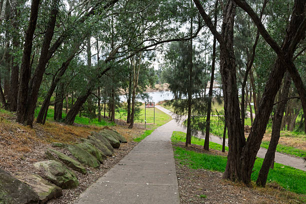 istock A public walkway through the trees in Yarramundi Reserve 2226185451