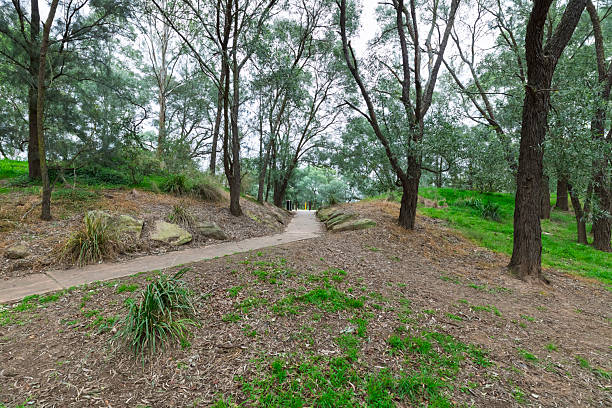 istock A public walkway through the trees in Yarramundi Reserve 2226185452