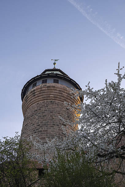 Ancient tower of Nürnberg framed by blooming white spring trees under clear blue sky.