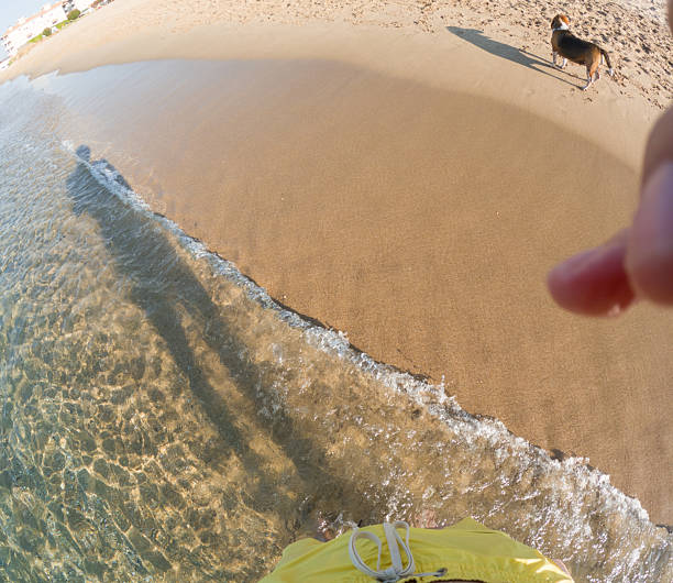 First-person view of a man walking along the shoreline on a sunny beach, with his dog following close behind, capturing the essence of a summer vacation
