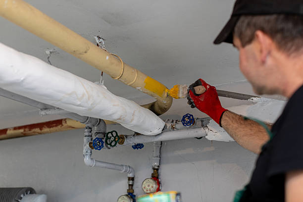 istock A skilled plumber is currently working diligently on various pipes within a residential setting 2226196322