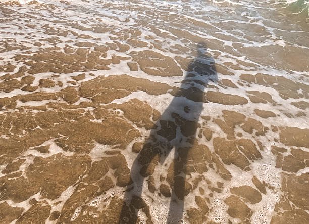 Casting a long shadow on the wet sand, a person enjoys the gentle waves washing over their feet, creating a tranquil and picturesque beach scene filled with serenity