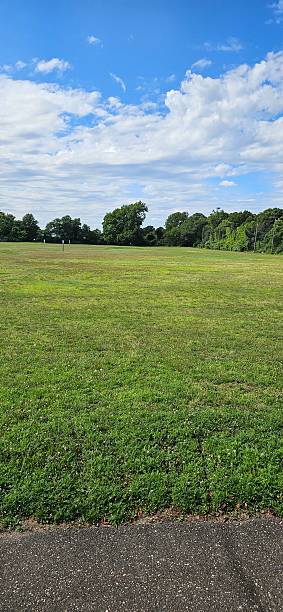 istock The field of grass 2226197962