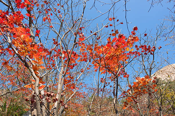 Seoul Bukhansan Mountains, Korea