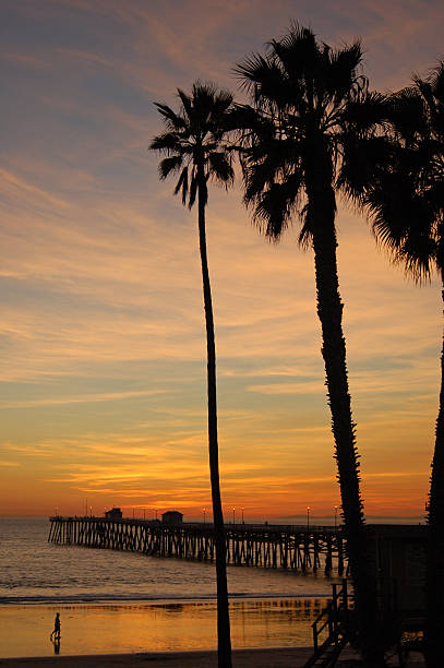 The sunset renders the palm trees and pier at the beach in San Clemente in silhouette as the clouds are reflected in the receding ocean waves