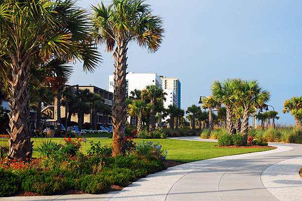 istock Small park near the boardwalk 2226205267