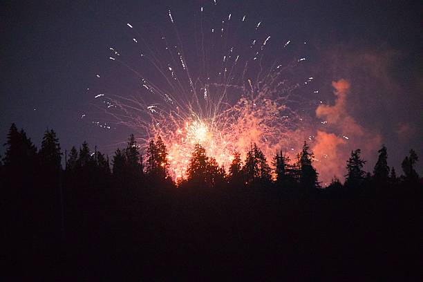 istock Fireworks Display behind Stanley park - Vancouver Canada 2226206003