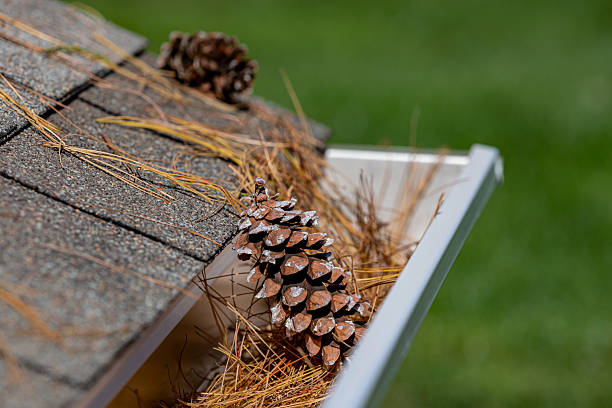 istock Closeup of house rain gutter clogged with pine straw, needles and pine cone from trees in fall. 2226207252