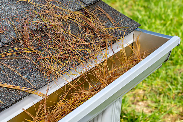 istock Closeup of house rain gutter clogged with pine straw, needles and pine cone from trees in fall. 2226207260