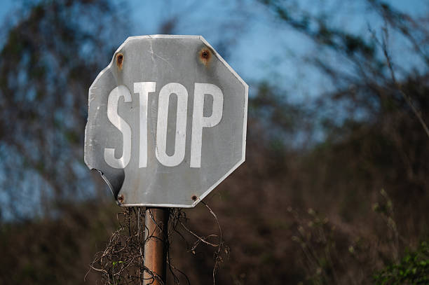 A weathered and partially broken stop sign stands against a blurred backdrop of tangled vegetation and a clear blue sky. Rust stains and climbing vines add to the sense of neglect, evoking themes of decay, abandonment, and the passage of time.