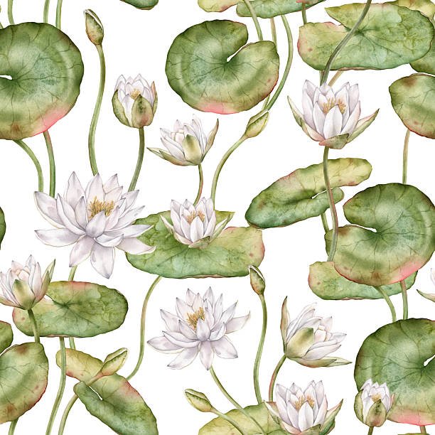 istock Seamless watercolor pattern featuring delicate white water lilies with green leaves. Hand-drawn lotus flowers on an isolated background, perfect for textiles and wrapping paper. 2226208087