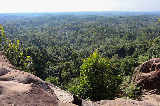 istock morning view photo on a high hill with forest view 2226208340