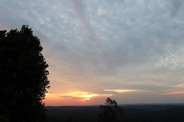 istock natural scenery, sky and forest with sunrise 2226209042