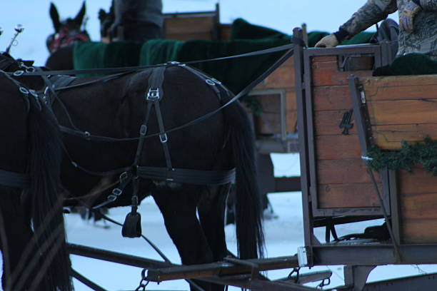 istock Horsedrawn Carriage Sledding in the Snow 2226212566