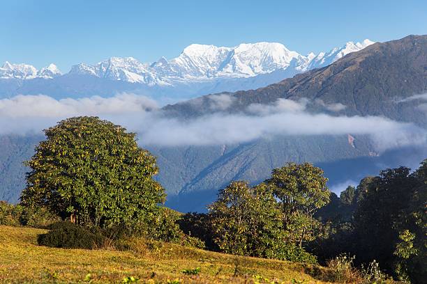 istock Himalaya, beautiful view from the foothills 2226212968