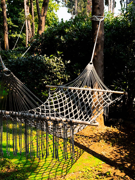 istock Empty hammock in sunny garden with greenery and trees 2226213016