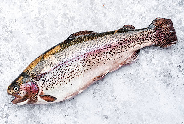 istock Fresh rainbow trout on grey table background, ready for cooking, top view 2226220841