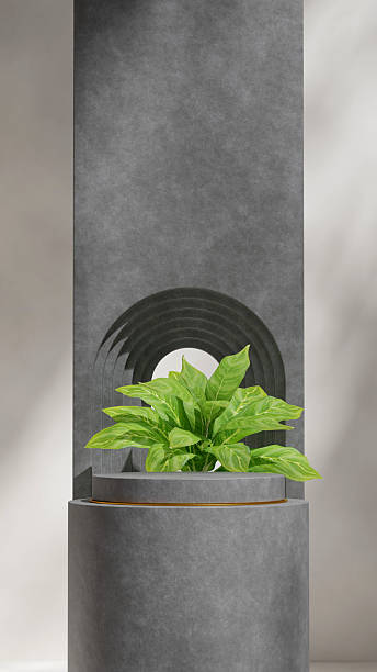 istock concrete texture curved cylinder in portrait boho arch, rendering 3d mockup scene 2226223388