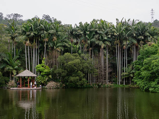 istock A lakeside pavilion surrounded by tropical trees 2226225804