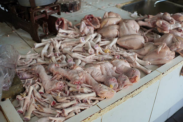 istock Fresh chicken feet, ready to be processed, displayed for sale. 2226227411